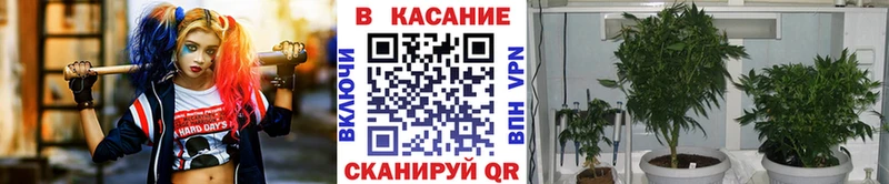 Как найти наркотики Валдай Гашиш А ПВП Мефедрон Канабис